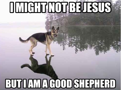Believe in Dog!